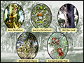 Indigenous stewardship